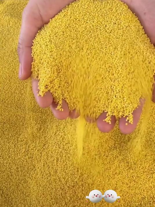 地理标志敖汉小米,农家古法种植熬粥香糯,久煮不散米油厚养脾