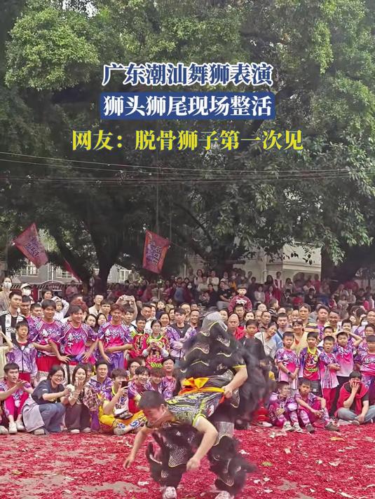 广东潮汕舞狮表演,狮头狮尾现场整活,网友:脱骨狮子第一次见#马上就出发#