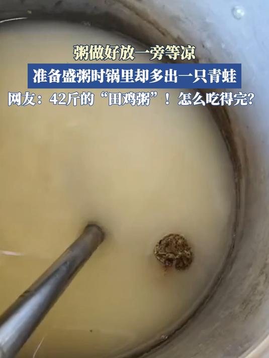粥做好放一旁等凉,准备盛粥时锅里却多出一只青蛙