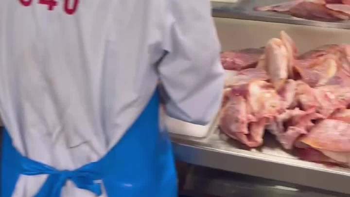 喜福鱼彩虹斑工厂忙完这波备货回家过年