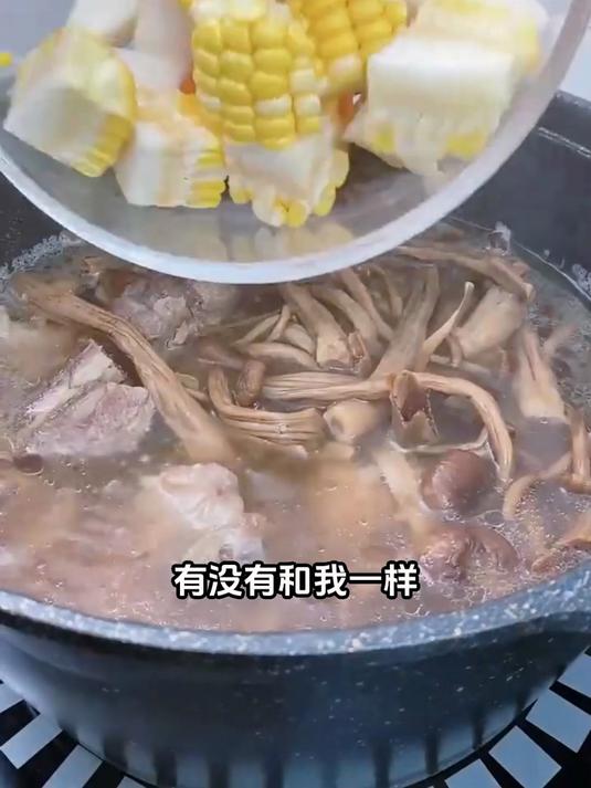专治气血不足:茶树菇排骨汤补血有方