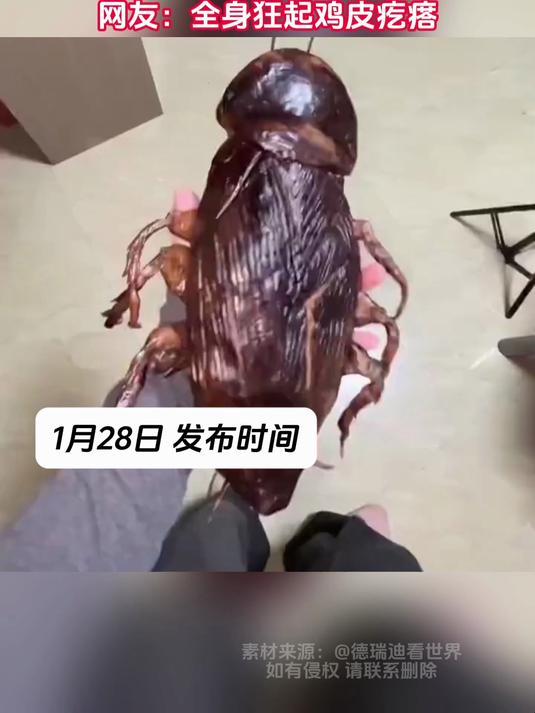 女子给领导准备了特殊蛋糕，蟑螂的造型 一捏还会爆浆