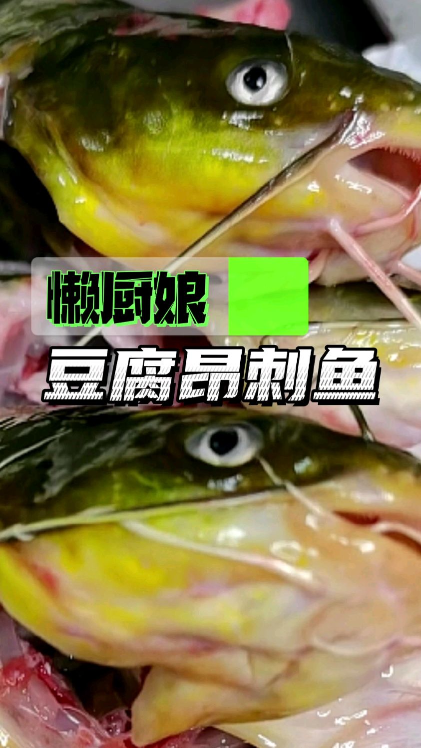 好吃又下饭的昂刺鱼炖豆腐