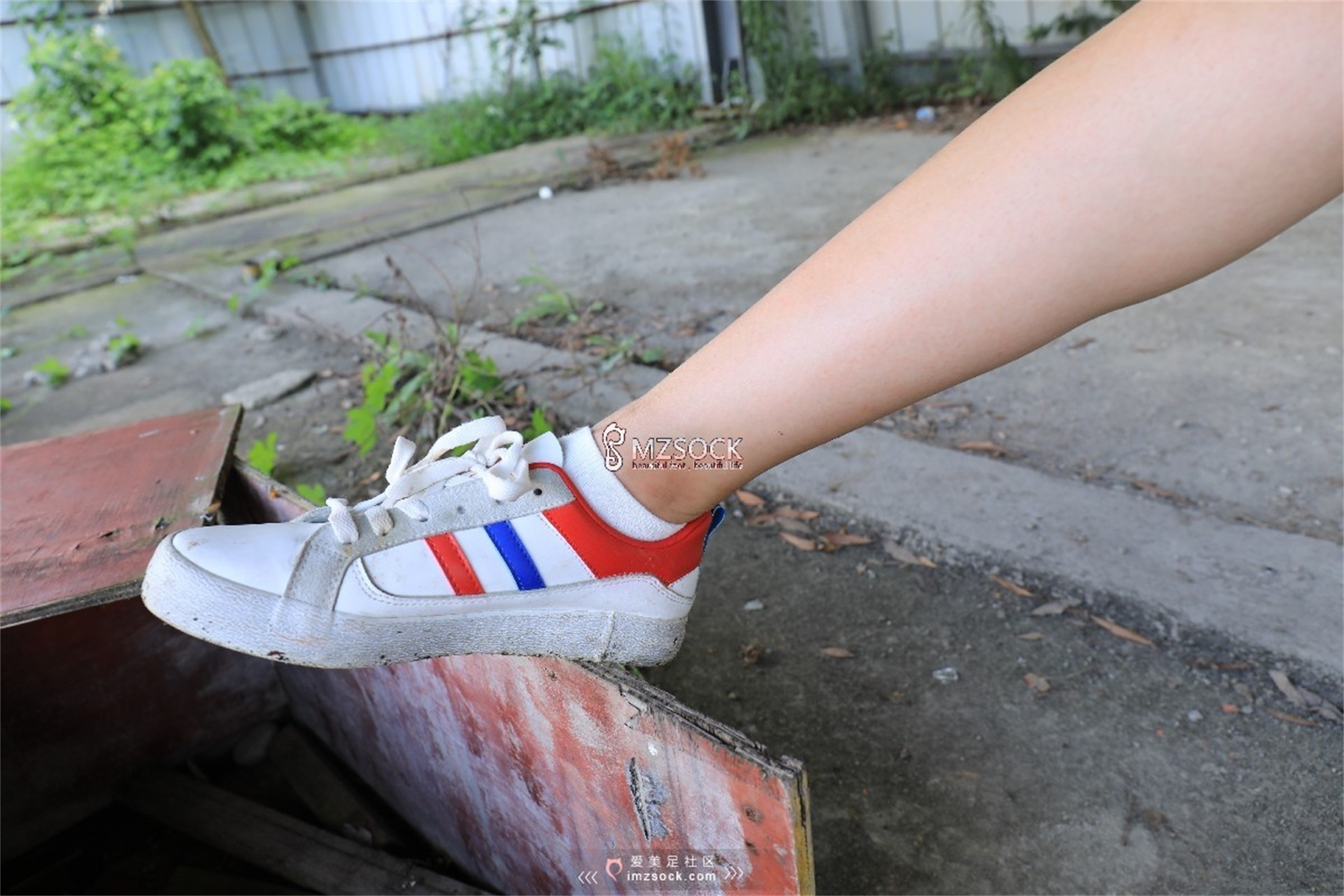 图片[25]-[MZSOCK]爱美足 NO.049 悦悦[122P403M]-六色网