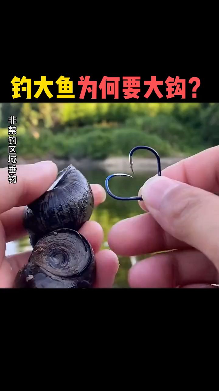 钓大鱼为何要用大鱼钩