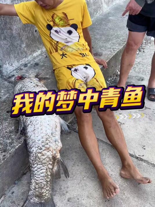 我就想知道这条大青鱼的鳞片哪去了，不会是从谁手里跑的吧