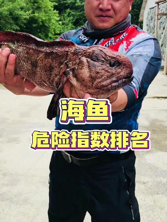 海鱼危险指数排行！