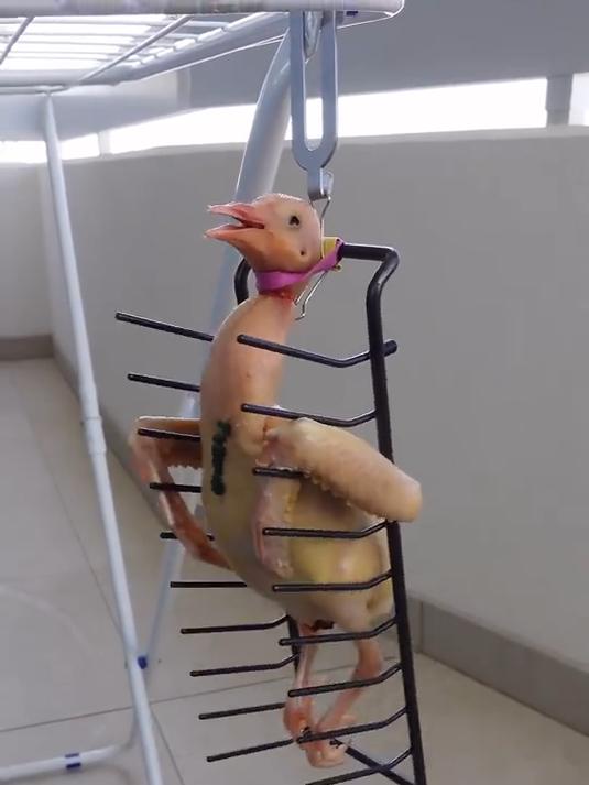 尝试用自制泥炉制作迷你版焖炉烤鸭