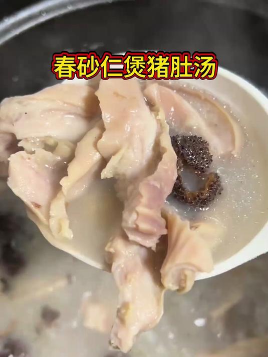 这汤太绝了!春砂仁猪肚汤喝出健康好脾胃