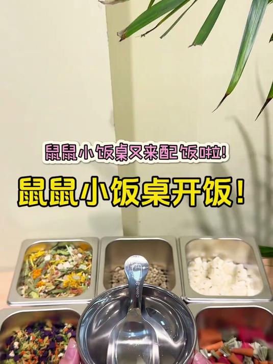鼠鼠小饭桌开饭!