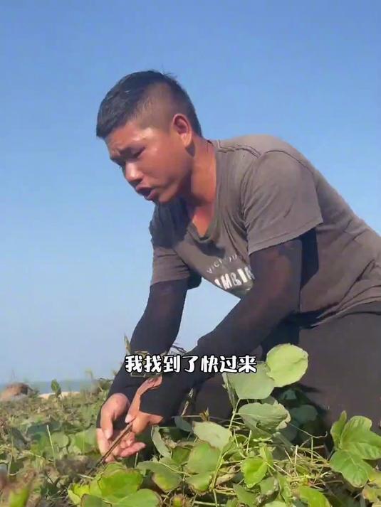 利用废弃浮球、竹子搞定蒸笼和蒸屉，终于吃上了包子