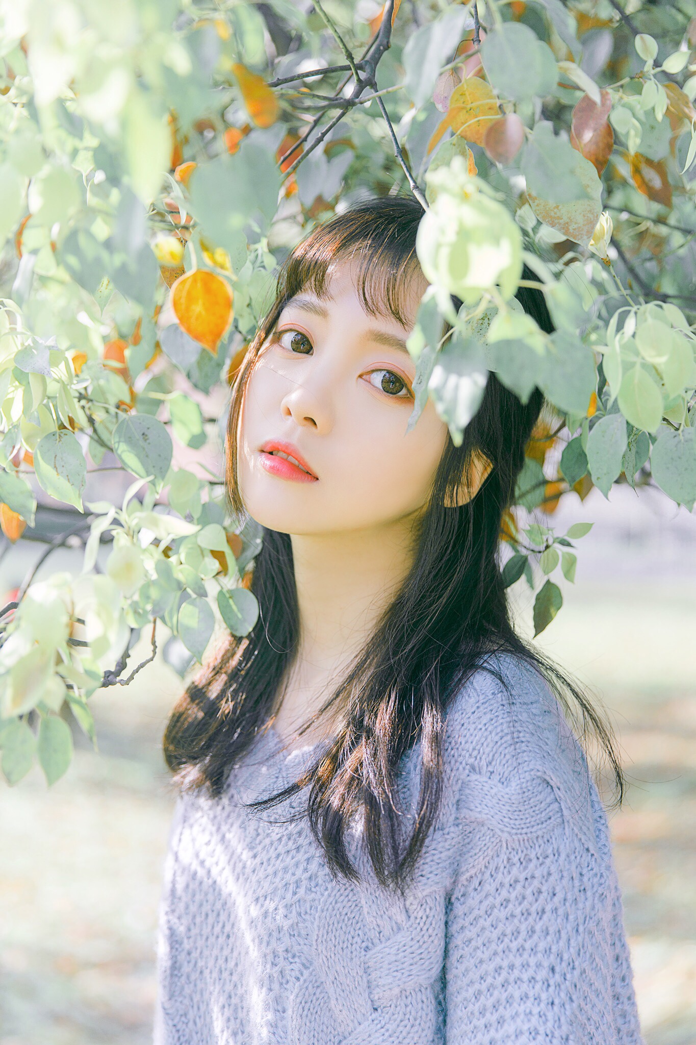 图片[13]-青柠女孩-六色网