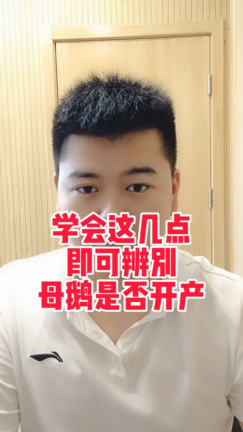 #鹅下蛋前有什么征兆鹅下蛋前有什么变化鹅在下蛋前身体有什么变化鹅下蛋前会有什么预示