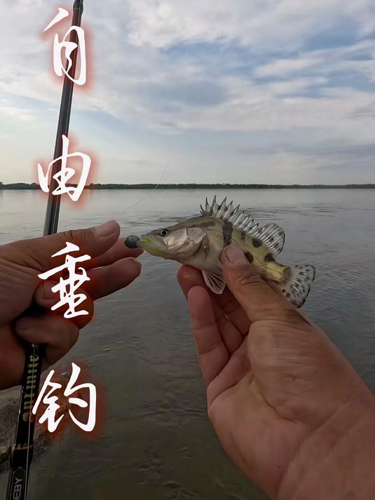 这回我当船长了!俄罗斯钓鱼 俄罗斯路亚