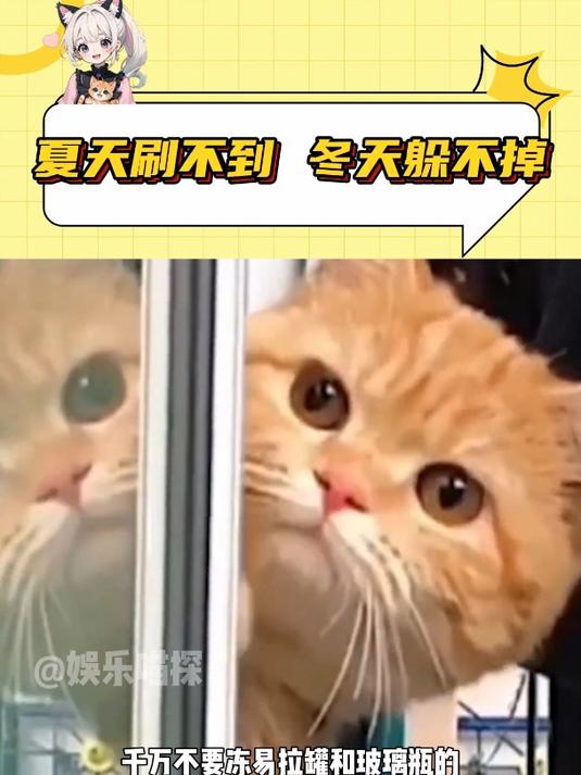 可乐冰沙自作教程,是成功还是失败,你敢挑战吗?