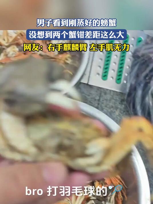 男子看到刚蒸好的螃蟹,没想到两个蟹钳差距这么大