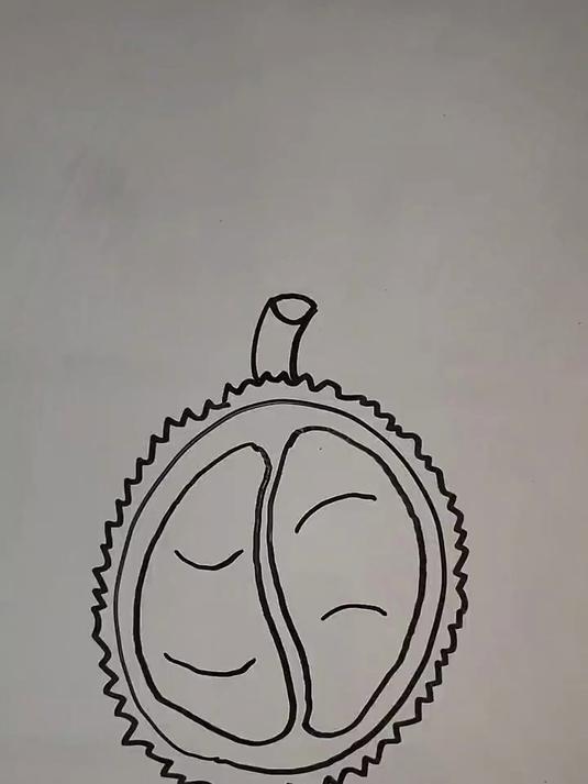 简笔画教程——榴莲