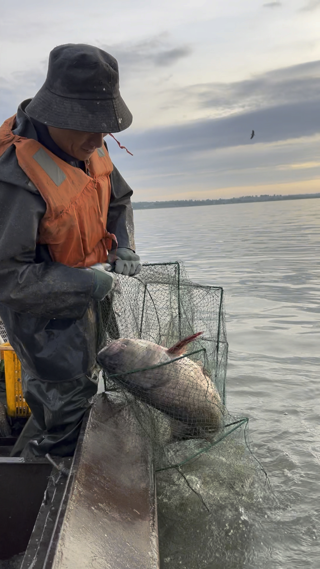 查干湖捕大胖头鱼王