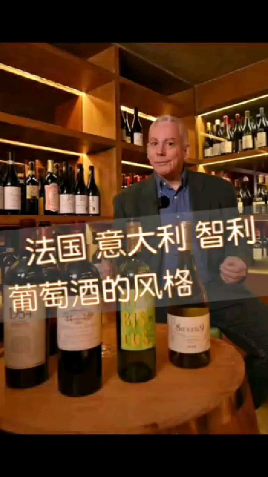 “法国”“意大利”“智利”葡萄酒分别是什么风格?