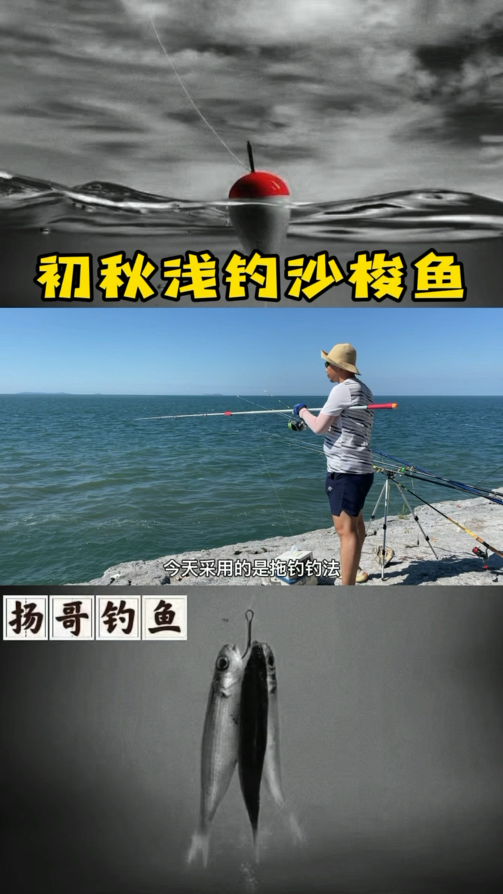 初秋浅钓沙梭鱼,分享快乐。
