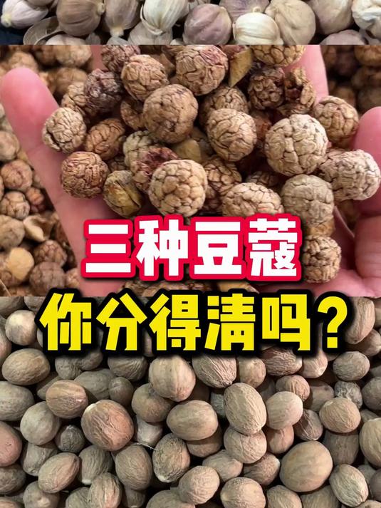 三种豆蔻，你分得清吗？