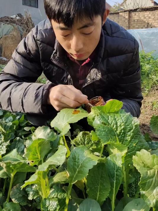 本想吃顿新鲜的早餐谁知……
