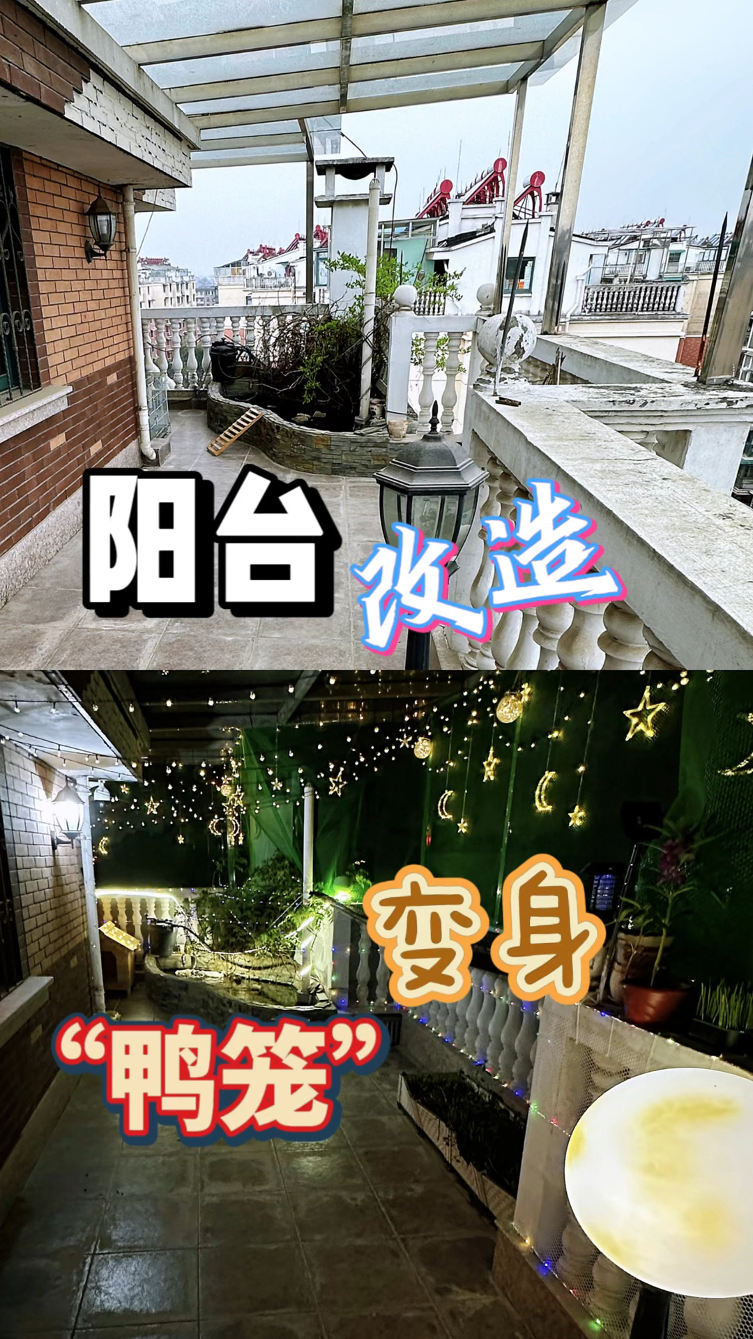 【柯尔鸭】为了养鸭子把阳台改成了鸭笼。