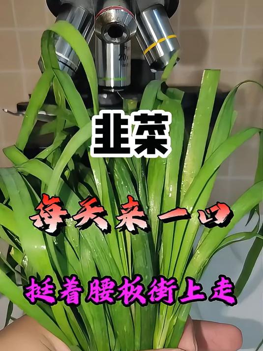 每天来一口韭菜，挺着腰板街上走