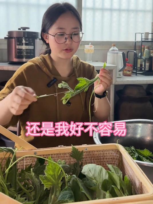 掐点野旱菜和老妈种的南瓜尖,下腊排骨火锅吃味道不要太好