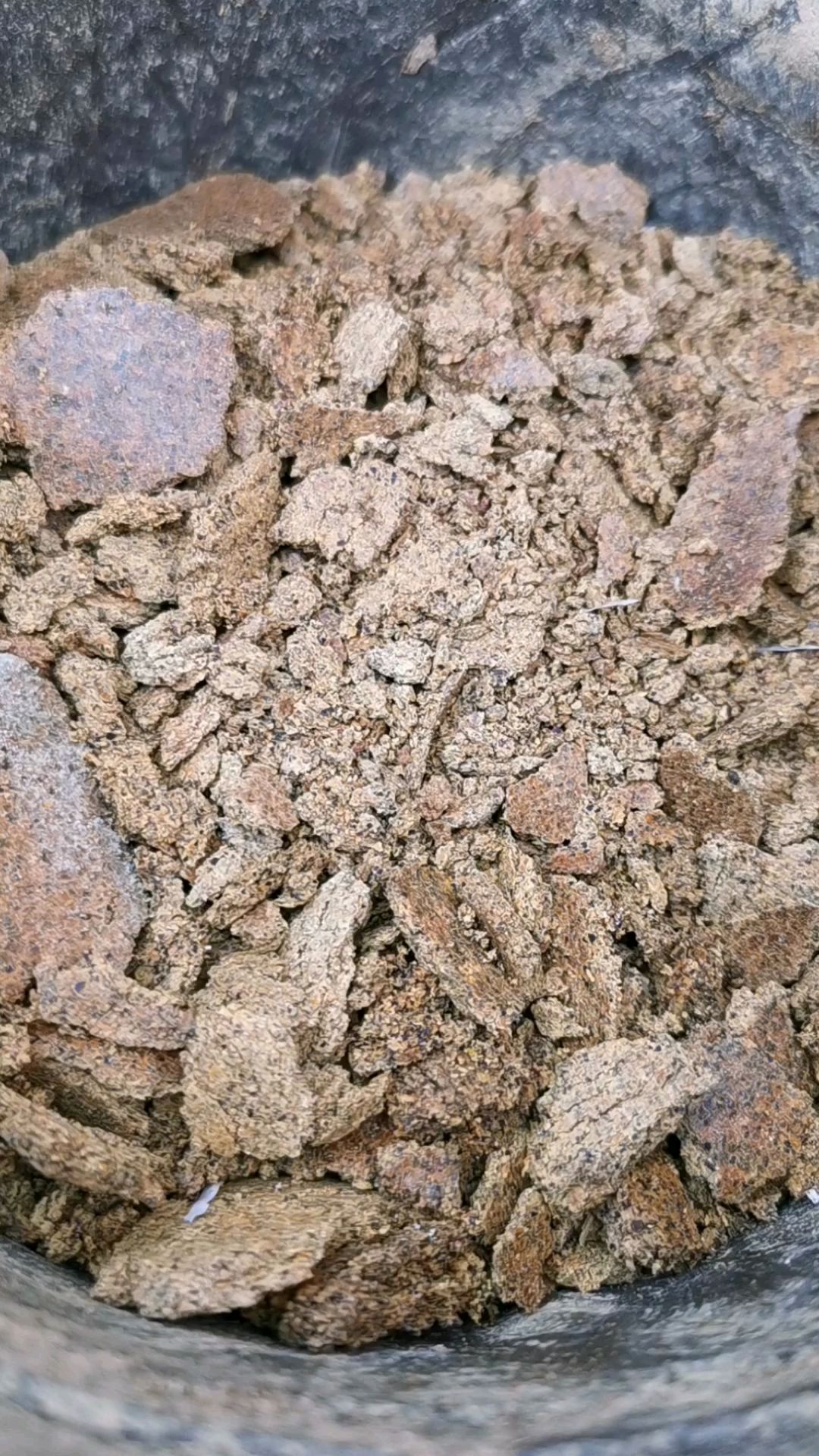 菜籽饼肥料能直接种花吗?会不会烧苗