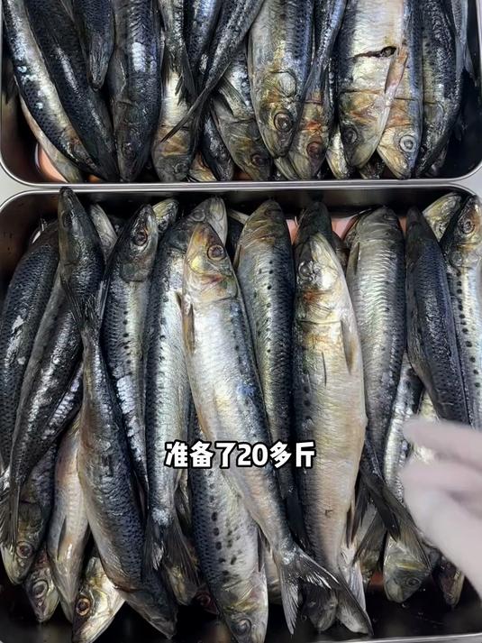 烘干沙丁鱼 强烈推荐!