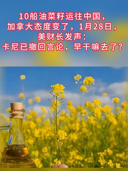 10船油菜籽运往中国，加拿大态度变了，1月28日，美财长发声