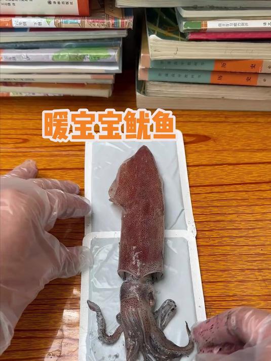 第一次烤鱿鱼不知道能不能成