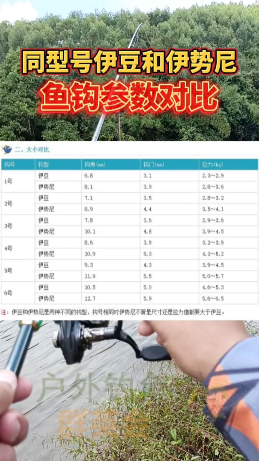 同型号的伊豆鱼钩和伊势尼鱼钩的参数对比