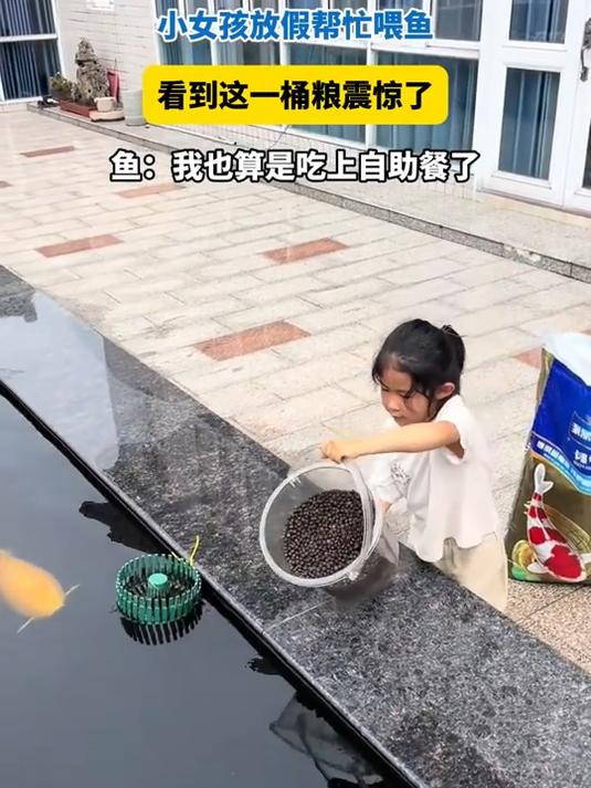 小女孩帮忙喂鱼,看到这一桶粮震惊了,鱼也算是吃上自助餐了!