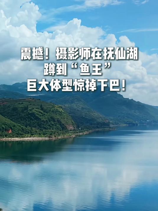 这次真的开眼了!传说中的青鱼阵最大BOSS居然长这样
