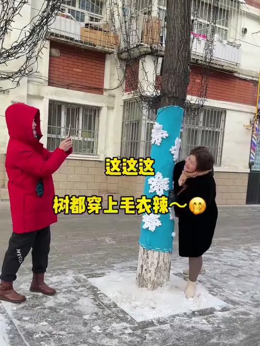 这这这～～树都穿上毛衣啦!你还不穿秋裤嘛
