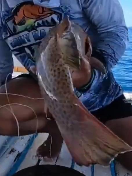 男人在海上钓鱼，仅仅四钓就拿下四条值钱的大石斑！