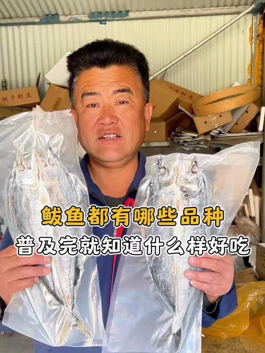 鲅鱼都有哪些品种，普及完就知道什么样好吃#海洋美食