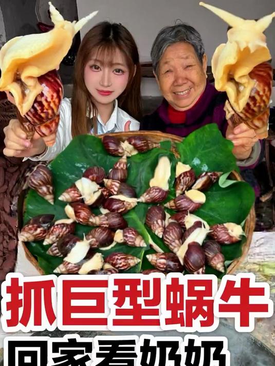 抓巨型 蜗牛,回家看奶奶~ 做麻辣蜗牛和盐焗蜗牛!