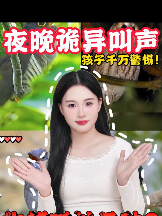 这些夜晚诡异叫声 孩子千万警惕!你都听过几种?