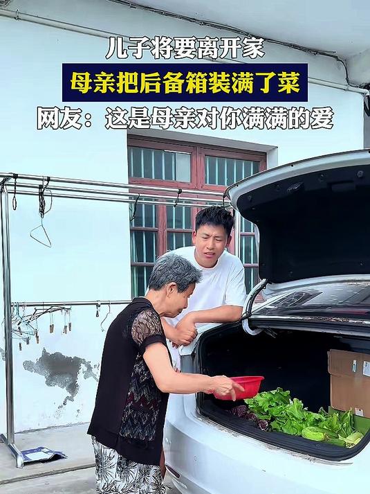 儿子将要离开家，母亲把后留箱装满了菜