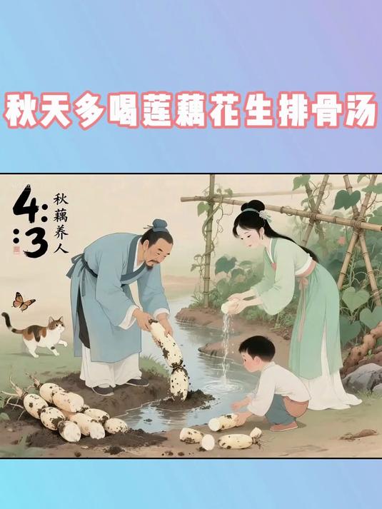 秋天多喝莲藕花生排骨汤