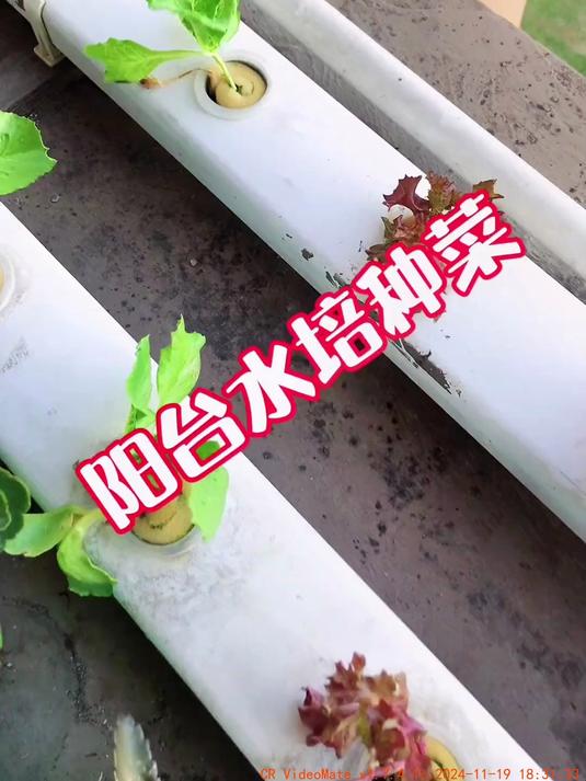 这套阳台设备用了5年了,日复一日,年复一年