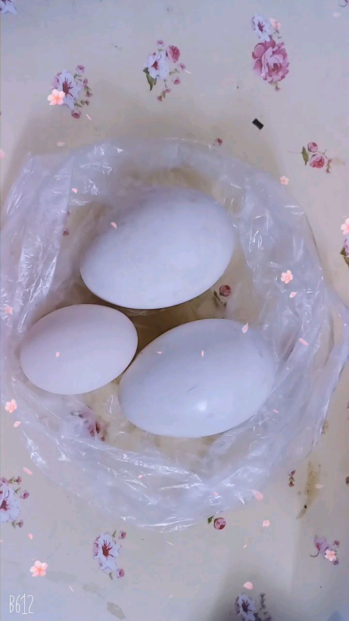 鸳鸯蛋=鹅蛋跟鸡蛋