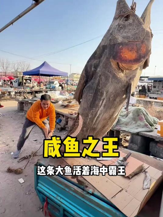 山东大集咸鱼之王，真真正正好吃的煎咸鱼