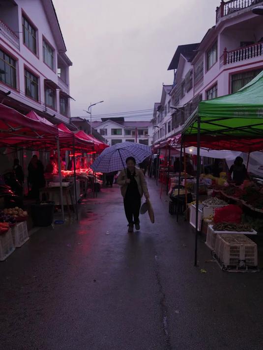 赶场热闹了好多,拿的豆豉羊角菜都抢手得很