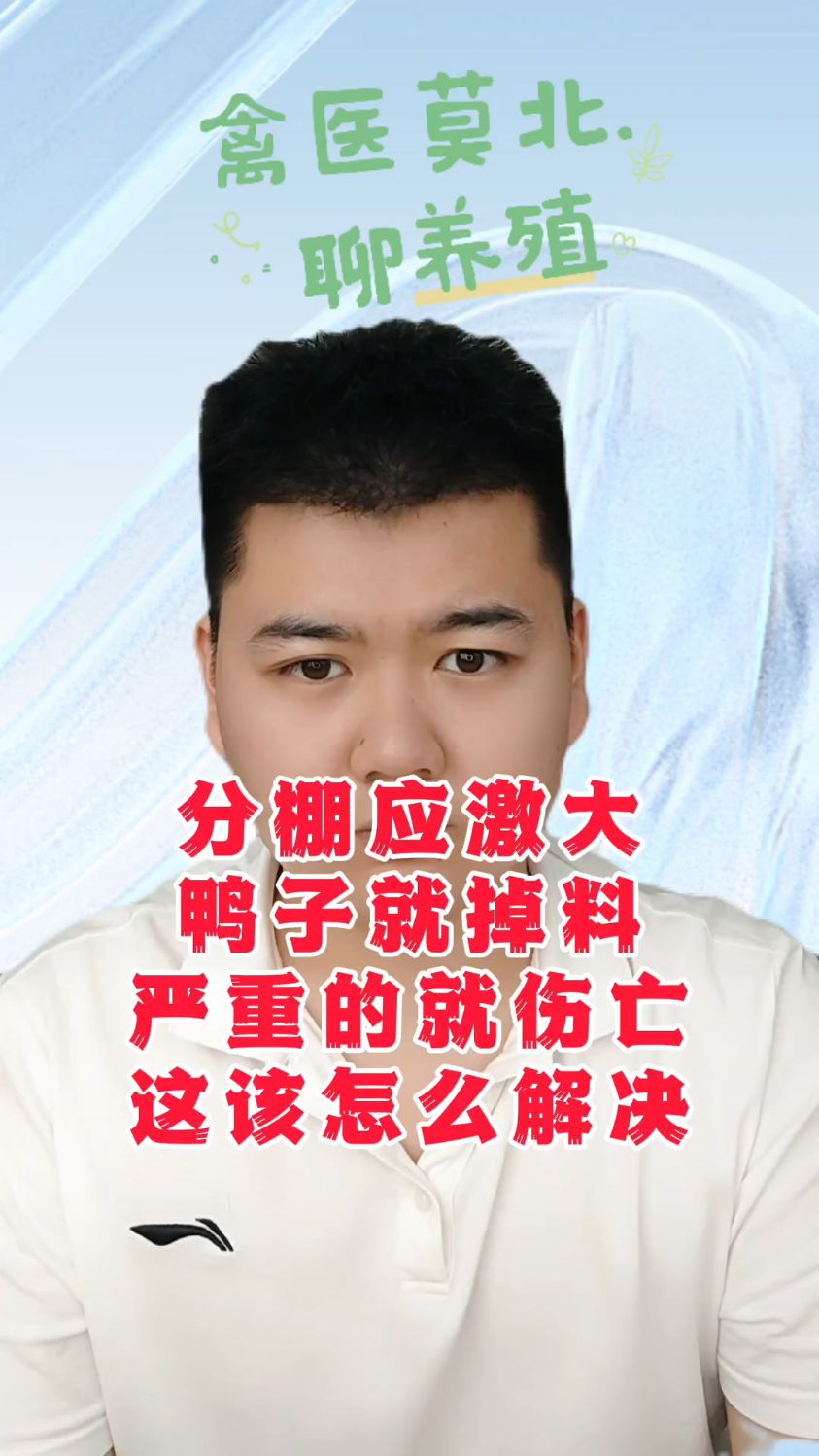 #鸭子应激怎么处理鸭子受惊吓后不进食怎么办鸭子受惊吓怎么办鸭子受惊吓后几天恢复