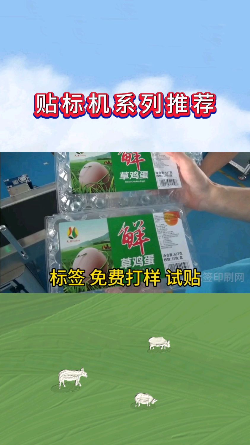 贴标机系列、鸡蛋标签包装贴标机推荐