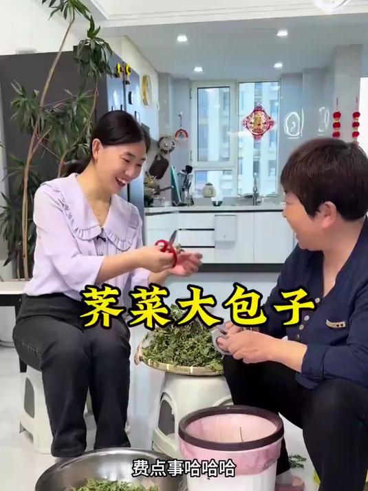 春天就是吃野菜的时节,刚回家外边就下雨了